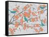 Blossoms with Birds-Diane Stimson-Framed Stretched Canvas