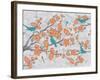 Blossoms with Birds-Diane Stimson-Framed Art Print