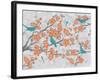 Blossoms with Birds-Diane Stimson-Framed Art Print