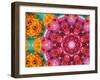 Blossoms with Drawing Overlay-Alaya Gadeh-Framed Photographic Print