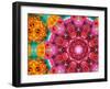Blossoms with Drawing Overlay-Alaya Gadeh-Framed Photographic Print