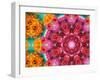 Blossoms with Drawing Overlay-Alaya Gadeh-Framed Photographic Print