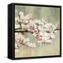 Blossoms-Andrew Michaels-Framed Stretched Canvas