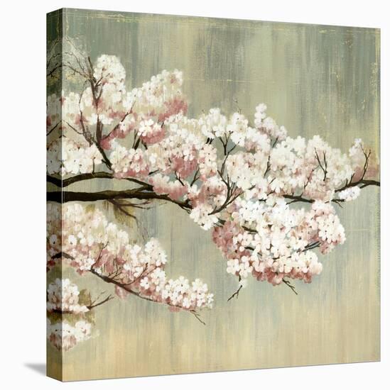 Blossoms-Andrew Michaels-Stretched Canvas
