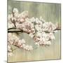 Blossoms-Andrew Michaels-Mounted Art Print