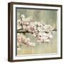 Blossoms-Andrew Michaels-Framed Art Print