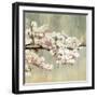 Blossoms-Andrew Michaels-Framed Art Print