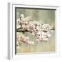 Blossoms-Andrew Michaels-Framed Art Print