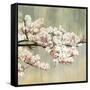 Blossoms-Andrew Michaels-Framed Stretched Canvas