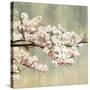 Blossoms-Andrew Michaels-Stretched Canvas