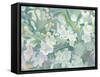 Blossoms-James Wiens-Framed Stretched Canvas