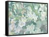 Blossoms-James Wiens-Framed Stretched Canvas