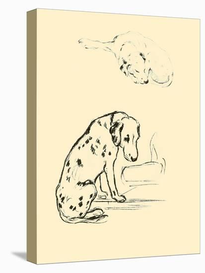 Blot The Dalmation-Lucy Dawson-Stretched Canvas