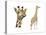 Blotched Giraffe (Giraffa Camelopardalis), Mammals-Encyclopaedia Britannica-Stretched Canvas