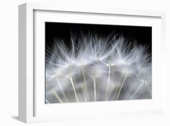 Blow It-null-Framed Art Print