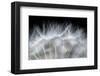 Blow It-null-Framed Art Print