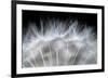 Blow It-null-Framed Premium Giclee Print