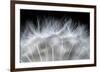 Blow It-null-Framed Premium Giclee Print