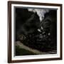 Blow That Whistle-Chuck Gordon-Framed Photographic Print