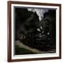 Blow That Whistle-Chuck Gordon-Framed Photographic Print