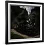 Blow That Whistle-Chuck Gordon-Framed Photographic Print