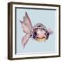 Blowfish-Jacob Q-Framed Art Print