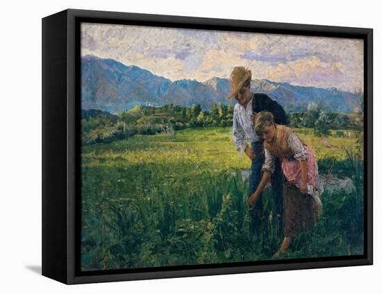 Blowfly (Peasant Girl in the Fields with Young Suitor)-Noe Bordignon-Framed Stretched Canvas