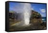 Blowhole at Nakalele Point-Darrell Gulin-Framed Stretched Canvas