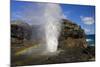 Blowhole at Nakalele Point-Darrell Gulin-Mounted Photographic Print