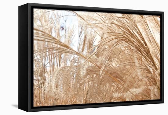 Blowing Grass I-Dana Styber-Framed Stretched Canvas
