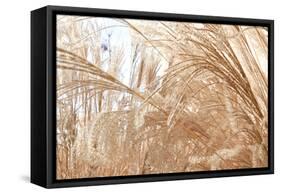 Blowing Grass I-Dana Styber-Framed Stretched Canvas