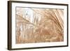 Blowing Grass I-Dana Styber-Framed Photographic Print