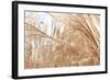 Blowing Grass I-Dana Styber-Framed Photographic Print