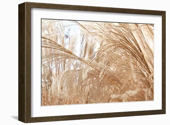 Blowing Grass I-Dana Styber-Framed Photographic Print