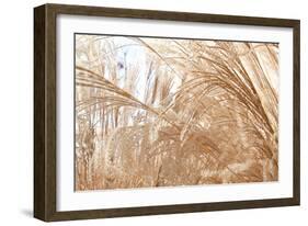 Blowing Grass I-Dana Styber-Framed Photographic Print