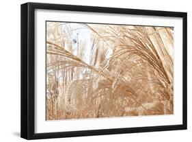 Blowing Grass I-Dana Styber-Framed Photographic Print