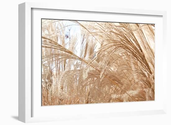 Blowing Grass I-Dana Styber-Framed Photographic Print