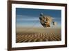 Blowing in the Wind-null-Framed Art Print