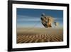 Blowing in the Wind-null-Framed Art Print