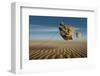 Blowing in the Wind-null-Framed Premium Giclee Print