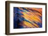 Blowing in the Wind-Ursula Abresch-Framed Photographic Print