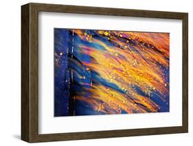 Blowing in the Wind-Ursula Abresch-Framed Photographic Print