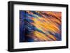 Blowing in the Wind-Ursula Abresch-Framed Photographic Print
