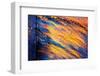 Blowing in the Wind-Ursula Abresch-Framed Photographic Print