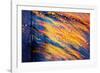 Blowing in the Wind-Ursula Abresch-Framed Photographic Print