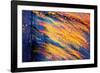 Blowing in the Wind-Ursula Abresch-Framed Photographic Print