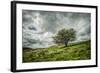 Blowing Over-Mark Gemmell-Framed Photographic Print