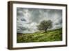 Blowing Over-Mark Gemmell-Framed Photographic Print
