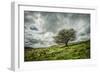 Blowing Over-Mark Gemmell-Framed Photographic Print