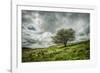 Blowing Over-Mark Gemmell-Framed Photographic Print